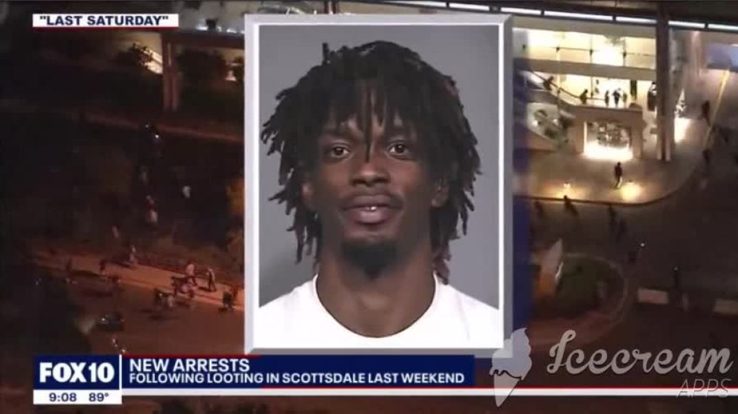 Just As Planned More Free Prison Labor Negroes Arrested For Looting