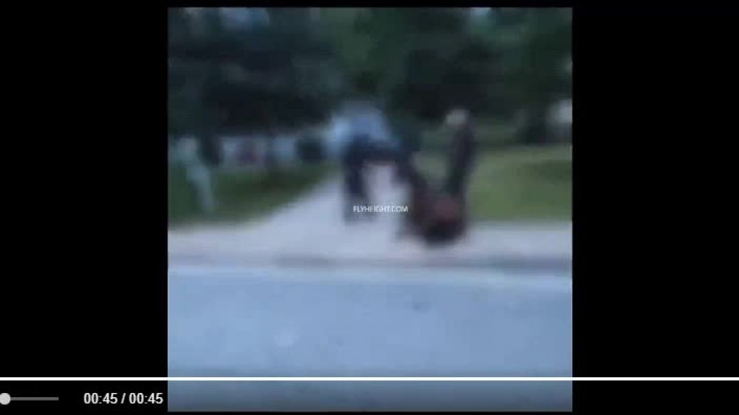 This Is Animal Abuse!!  She Needs A Clydesdale To Carry All That