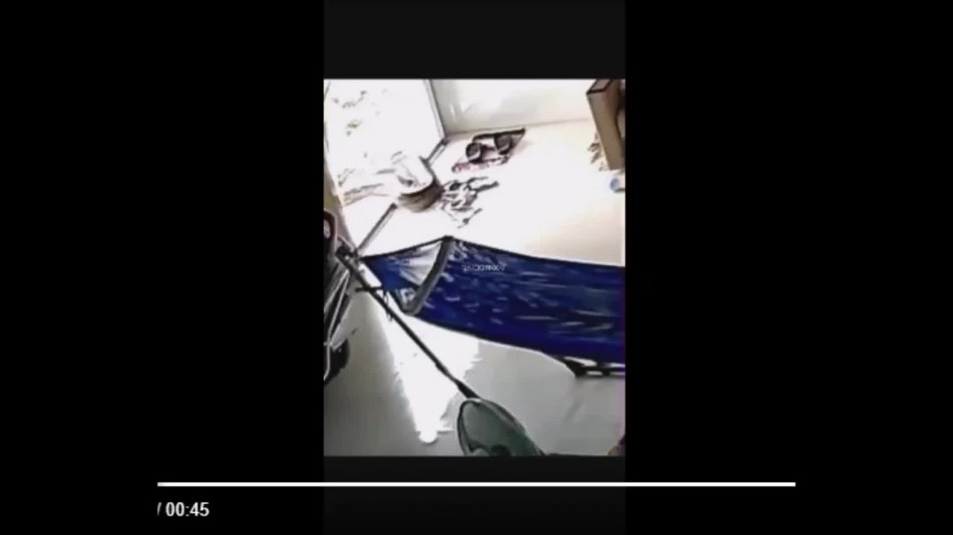 Snake Attacks On the Rise In China and Other Parts of Asia