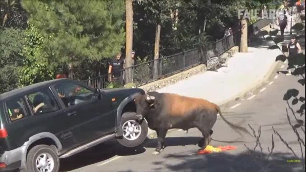 Even The Animals Are Fed Up With Parasitical Recessives