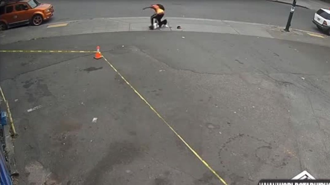 ⁣Robbed and Beat In Broad Open Daylight: Are Negroes Losing Their Whole Damn Minds??