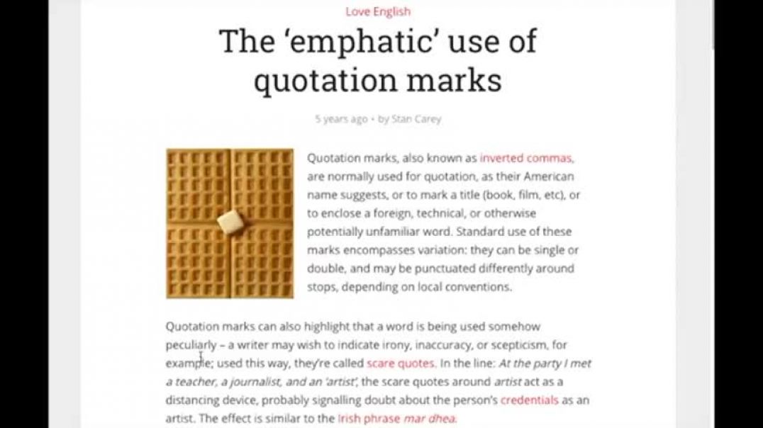 Woman of the Year - Transvestigation