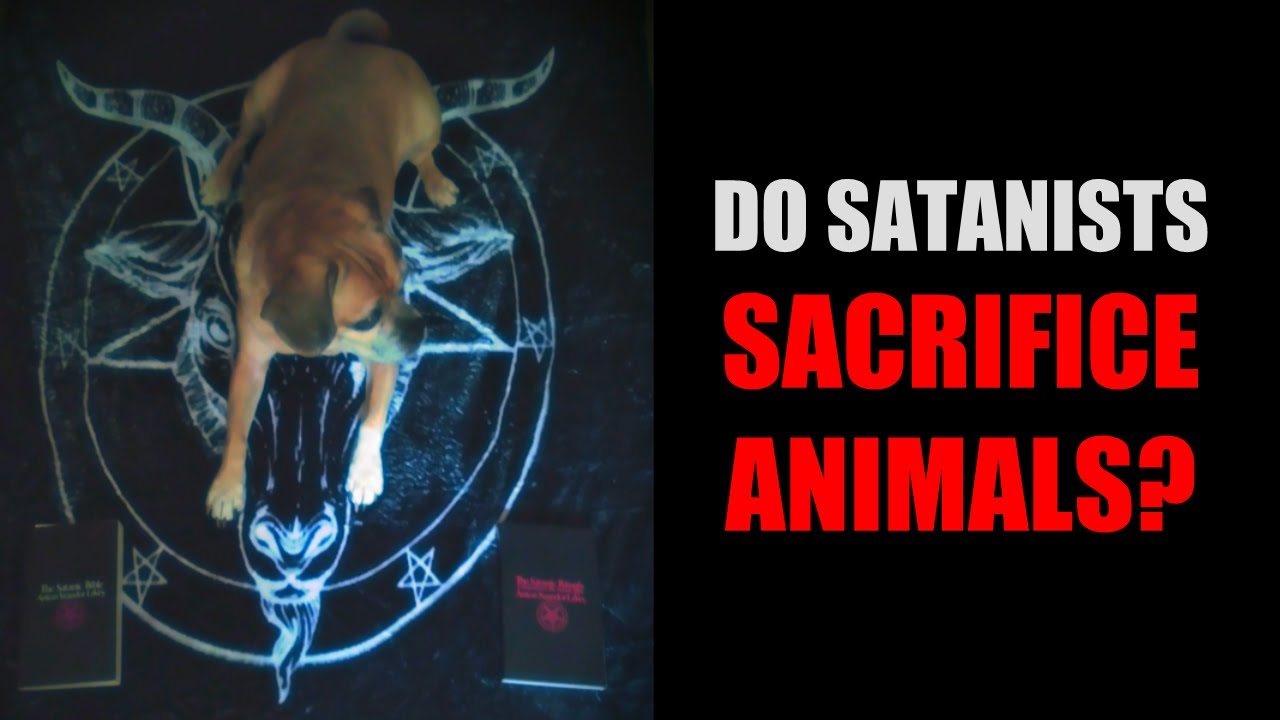 Do Satanists REALLY Sacrifice Animals?
