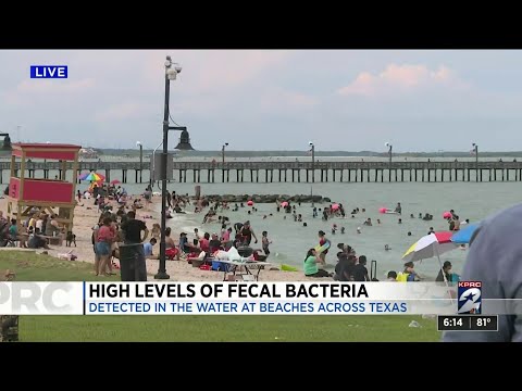 Disgusting!! High Levels of Fecal Bacteria In Beaches Across Texas