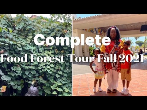 A Complete Tour of the Food Forest in the Fall 2021 and How to Kill Cabbage Worms With Neem Oil.