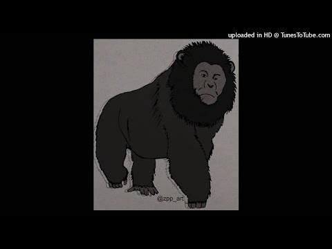 Men's Perspective and Polygyny Part 2