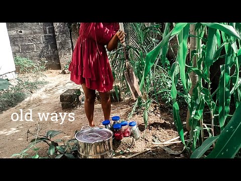 Living without a Refrigerator - 5 Ways I Preserve Food without Electricity - Cottagecore