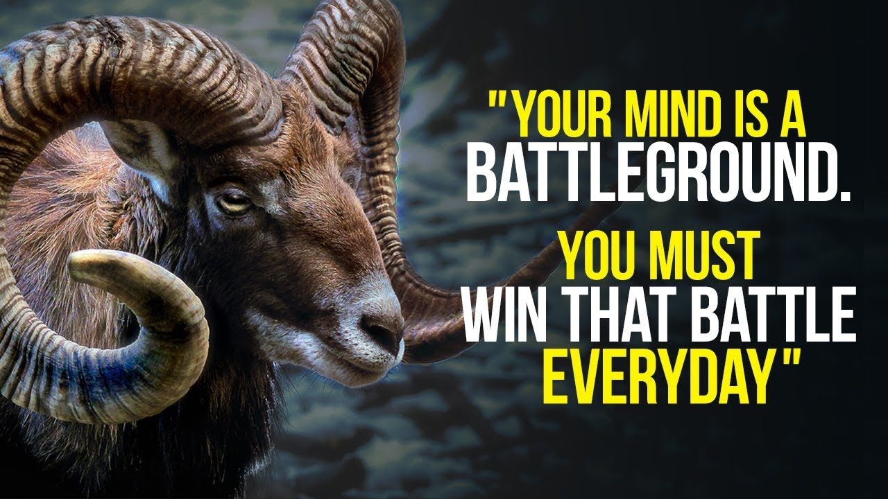 RETRAIN YOUR MIND - New Motivational Video Compilation