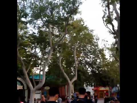 EVIL IS CONSUMING THE WORLD--- GOD IS STILL ON THE THRONE-- WILL YOU REPENT, OR PERISH?