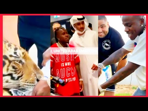 Dababy Cancelled In America Now With The Royal Family Of Dubai Feeding Lions And Tigers