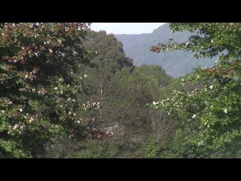 URGENT WARNING: Banking System // the Great Lie