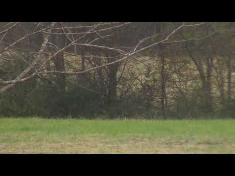 URGENT ALERT:  High Watch Time!  Blood Red Moon!  The Locusts!