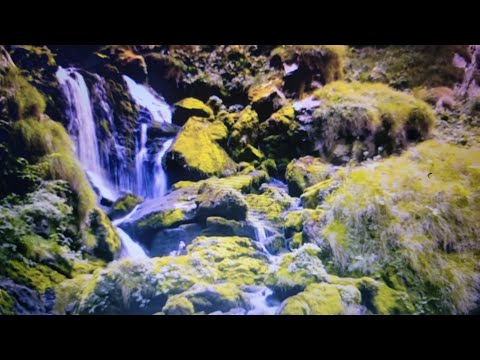 Early morning get Together