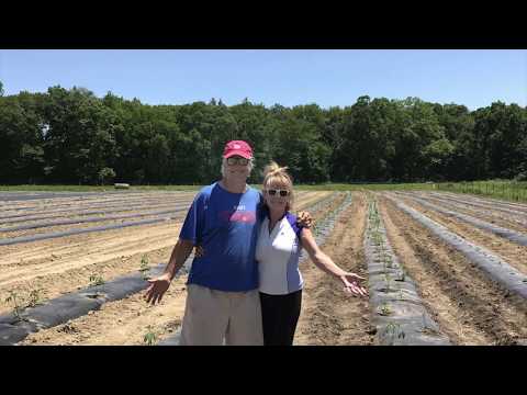 High Falls Extracts 2018 - A Year in Review!