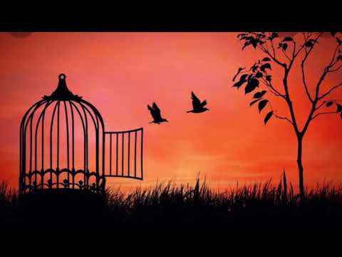 Biden Brings In Vaccine Mandates