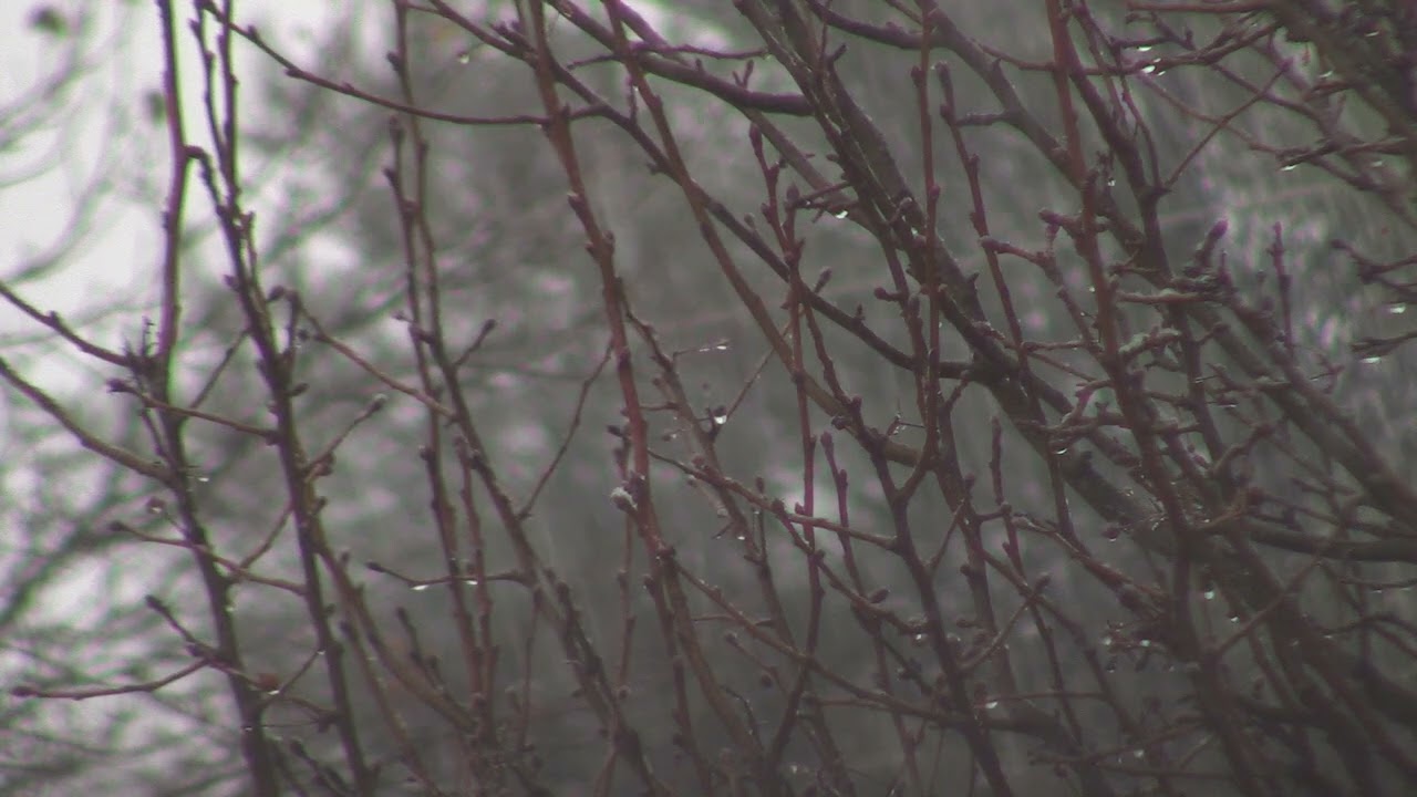 WARNINGS:  Electrical Power Outages