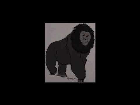 ⁣2 Phenomena No Sphere Can Afford