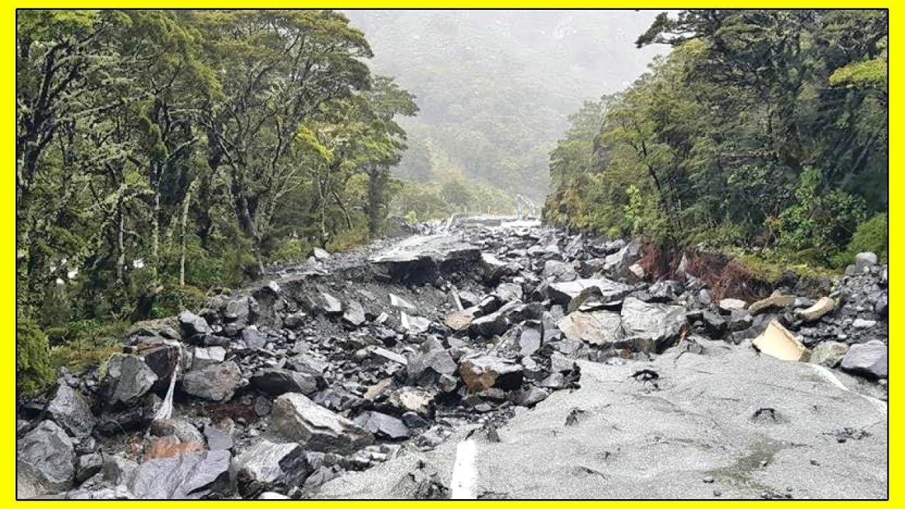 Something Strange is happening in New Zealand !! 2020 FEBRUARY (+ FOOD MISSION !)