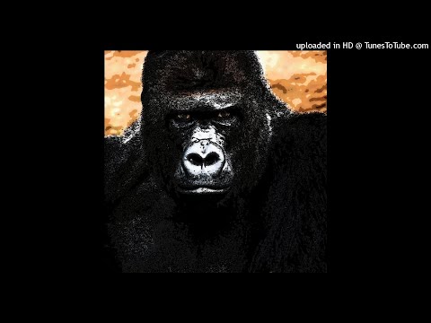 Men's Perspective and Polygyny Part 1