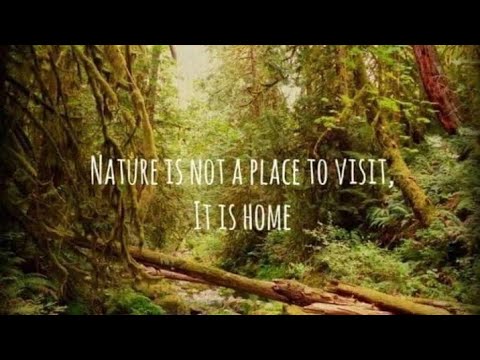 Thursday night rants