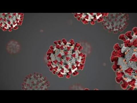 Officials say contagious Brazil COVID variant found in Michigan as cases surge