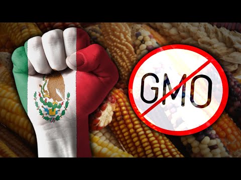Mexico Says No to GMOs - #NewWorldNextWeek