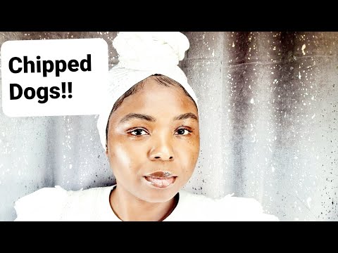 ARMY/POLICE FORCE HUNTER DOGS TO ME MARKED AND BECOME RAVISHINGLY UNPLEASANT!!** WATCH AND SHARE**