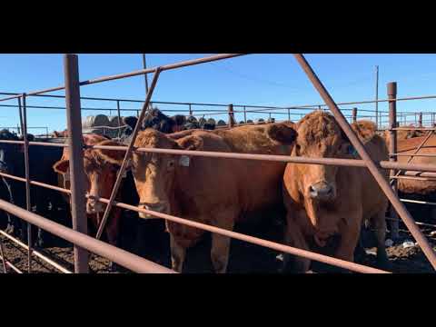 North Dakota: MegaDrought Conditions-Worse Than The Dust-Bowl