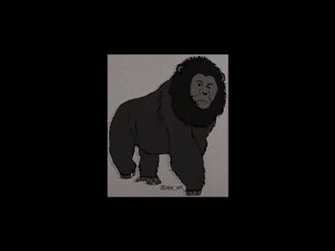 Part 2 of De-Westernization of Women: The Difference BW Western Women and Wicked Witches of the West