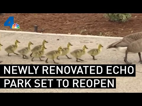 Newly Renovated Echo Park Lake Set to Reopen  | NBCLA
