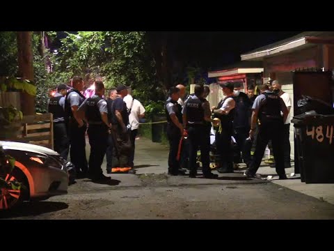 Chicago's top cop blames courts after 70 shot, 12 fatally in weekend violence | ABC7 Chicago