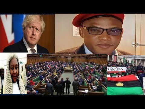 Reality and Hope for Negroes-A Reply LE(1)