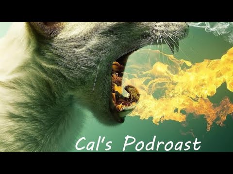 Afghanistan And What We Can Learn In America