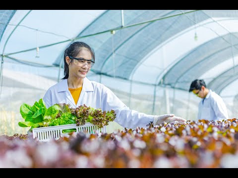 Scientists Plan to Put Vaccines In Plants(Only on Rumble)